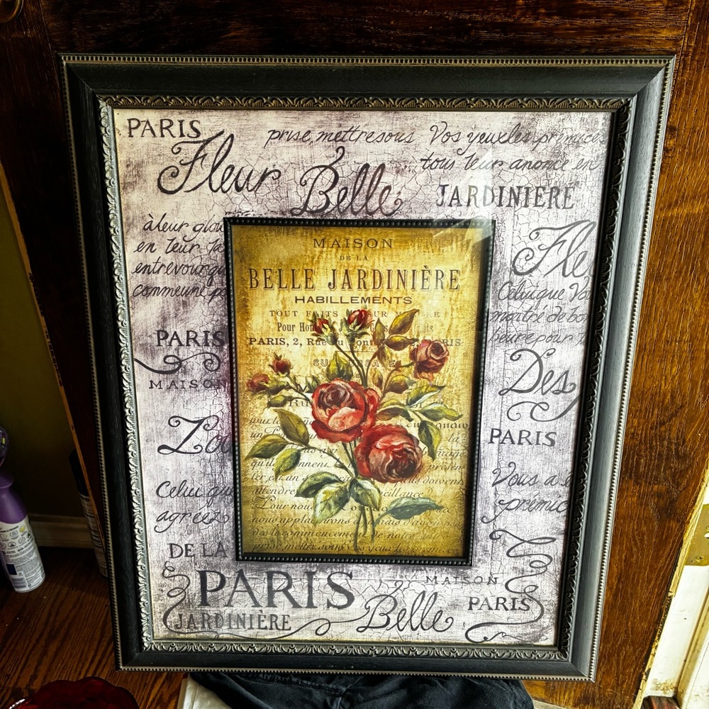 Kimberly Poloson BELLE JARDINIÈRE Paris Floral Wooden Framed Wall Art